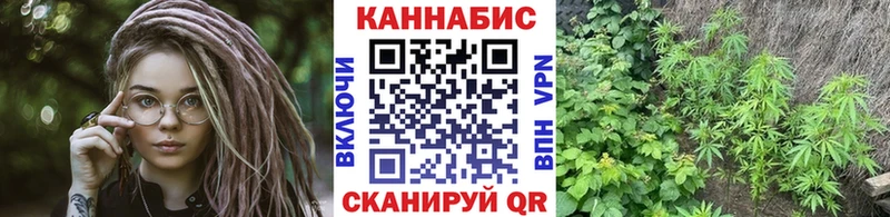 Купить  Бородино  Марихуана конопля 